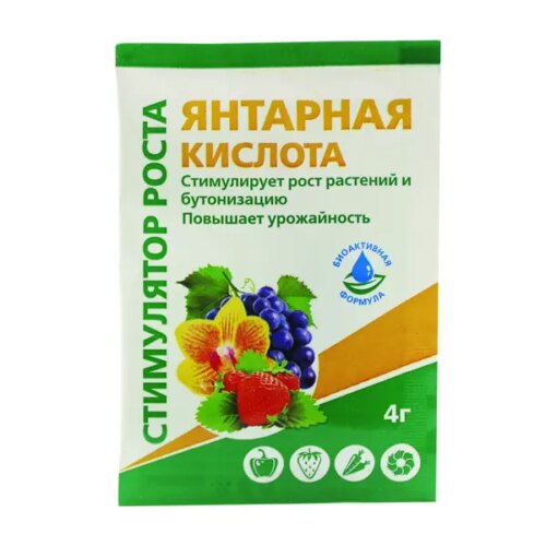 Янтарная кислота