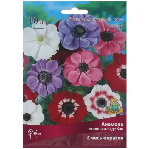 Анемоны корончатые