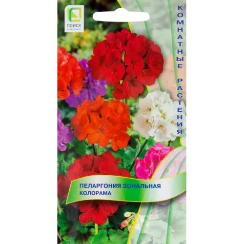 Пеларгония зональная «Колорама»
