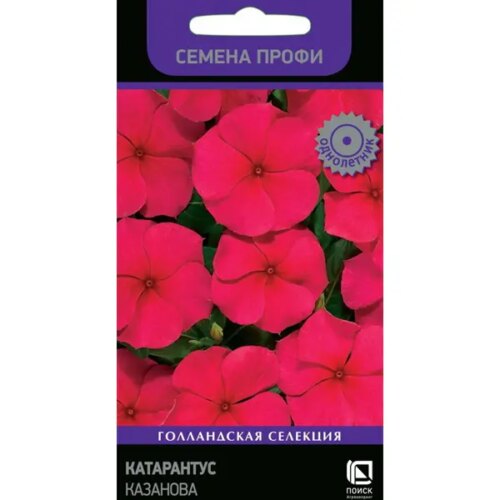 Семена цветов Поиск катарантус Казанова 10 шт.