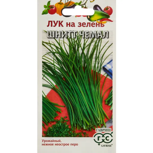 Семена Гавриш лук Шнитт Чемал
